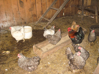 Similar image 1753300