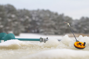 Similar image 1753395