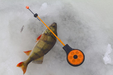 Similar image 1753405