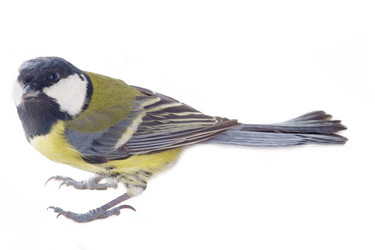 Similar image 1753413