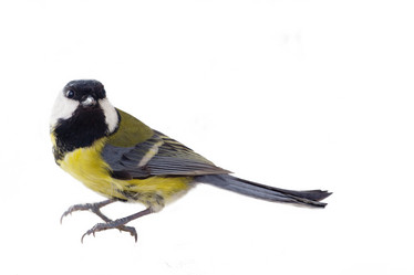 Similar image 1753415