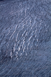 Similar image 1753422