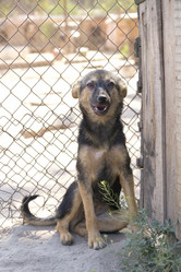 Similar image 1753576