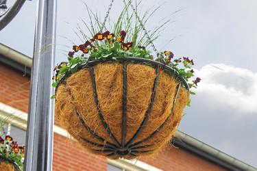 Similar image 1754080