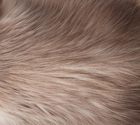 Similar image 1754116