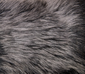 Similar image 1754118