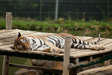 Similar image 1754133