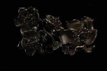 Similar image 1754148