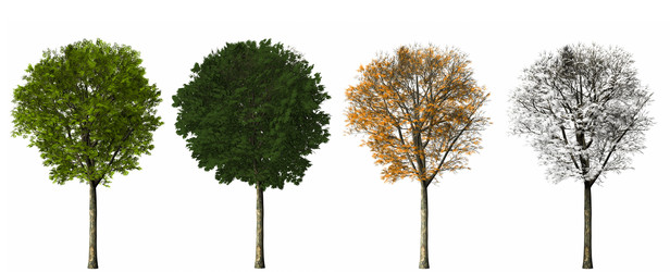 Similar image 1754231