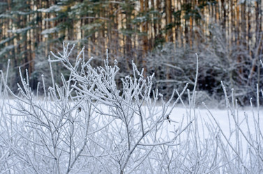 Similar image 1754232