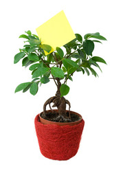 Similar image 1754242