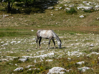 Similar image 1754316