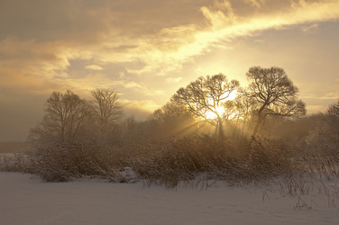 Similar image 1754353