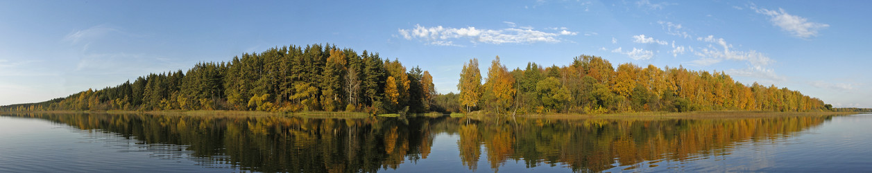 Similar image 1754354