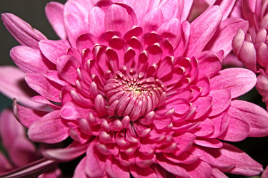 Similar image 1754435