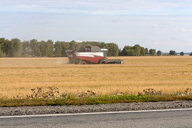 Similar image 1754458