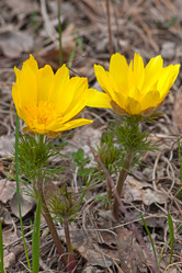 Similar image 1754464