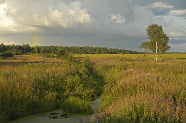 Similar image 1754488