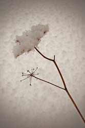 Similar image 1754492