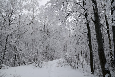 Similar image 1754502