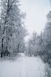 Similar image 1754503