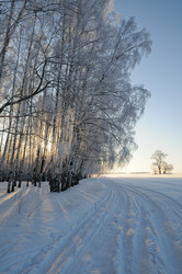 Similar image 1754509