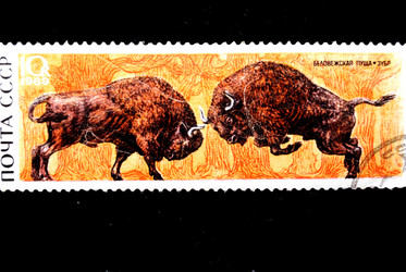 Similar image 1754512