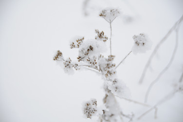 Similar image 1754516