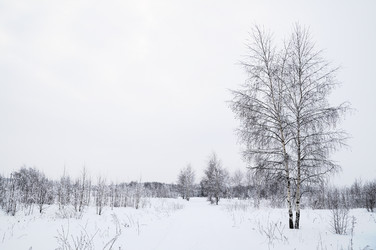 Similar image 1754517