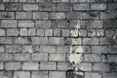 Similar image 1754519