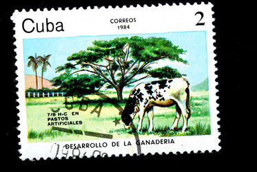 Similar image 1754520