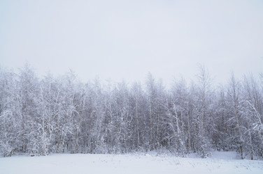 Similar image 1754521