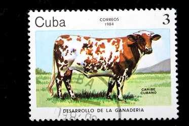 Similar image 1754522