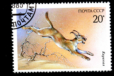 Similar image 1754524