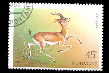 Similar image 1754525