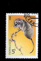 Similar image 1754526