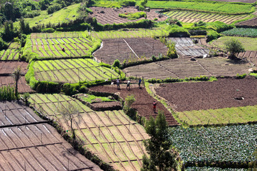 Similar image 1754598