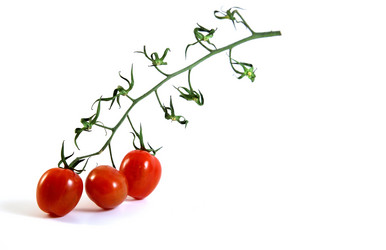 Similar image 1754830