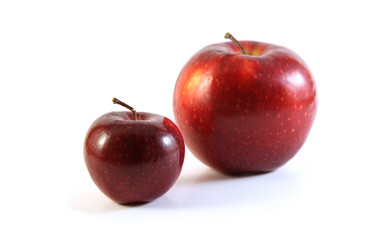 Similar image 1754834