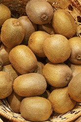 Similar image 1754898