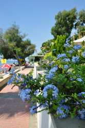 Similar image 1754909