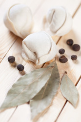 Similar image 1754925