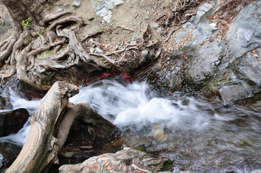 Similar image 1754940