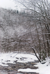 Similar image 1755075