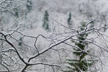 Similar image 1755076