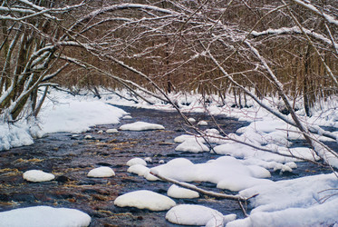 Similar image 1755082