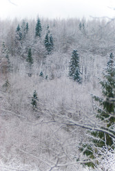 Similar image 1755090