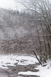 Similar image 1755099