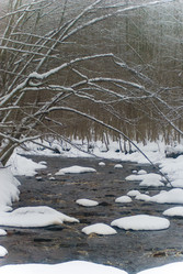 Similar image 1755100