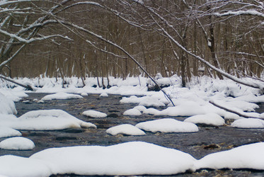 Similar image 1755103